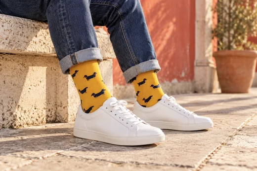 Sockstock · Calcetines en el día a día · Ilustración